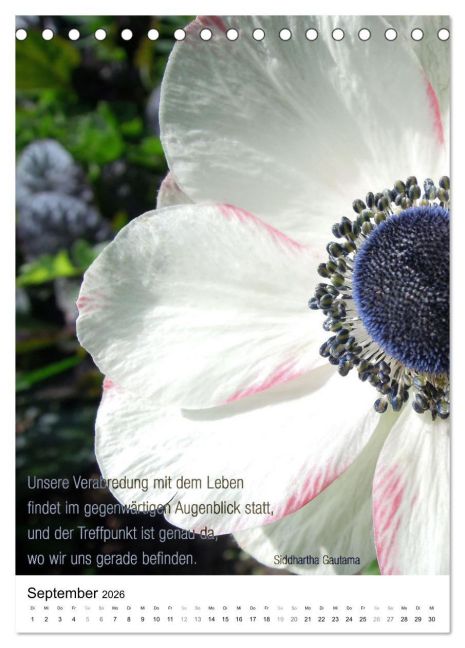 additionalImage14