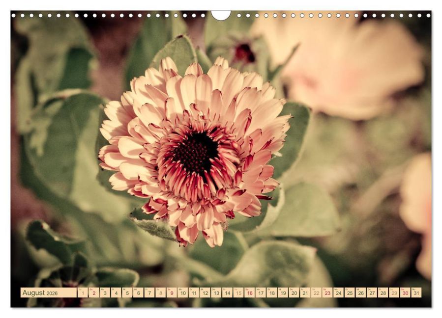 additionalImage13