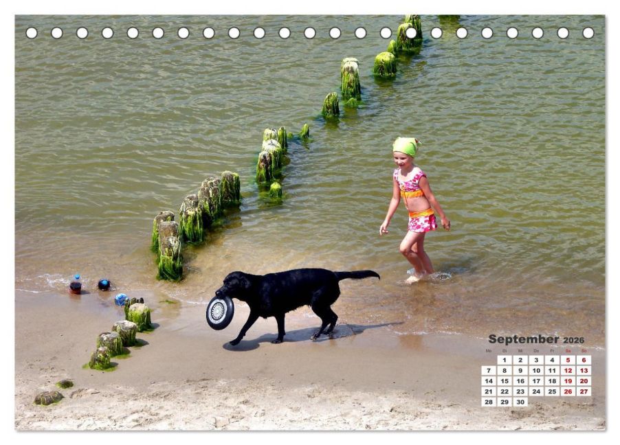 additionalImage14