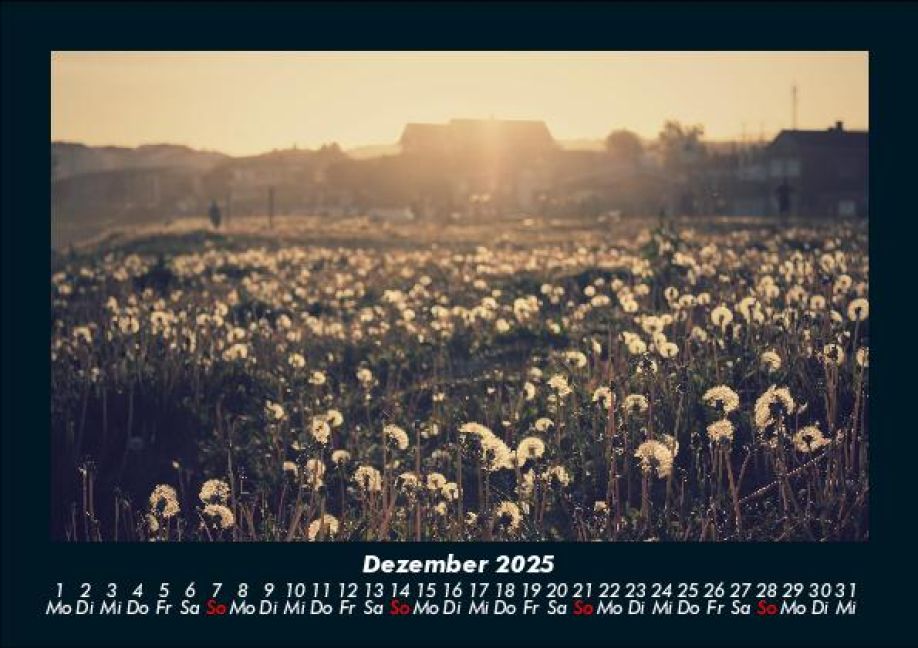 additionalImage4