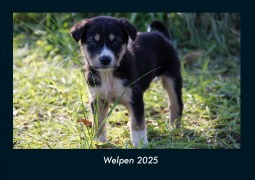 Cover-Bild zum Titel 'Welpen 2025 Fotokalender DIN A4' von 'Tobias Becker'