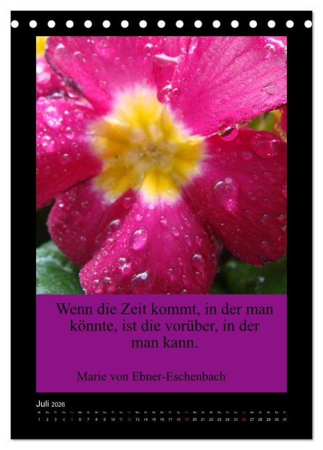additionalImage12