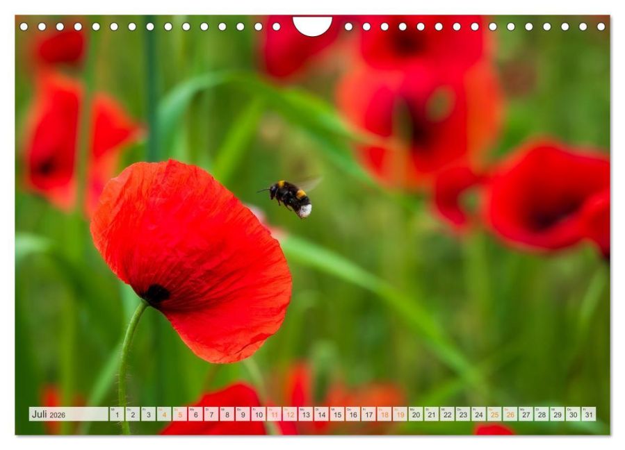 additionalImage12