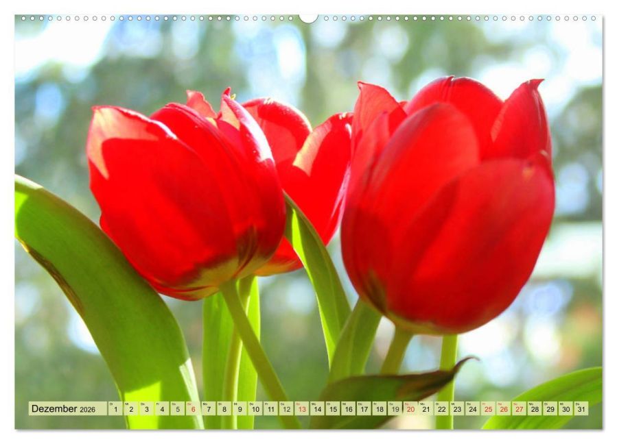 additionalImage3