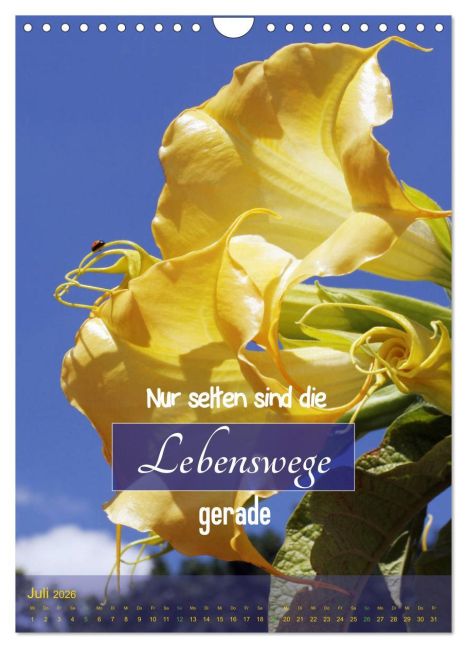 additionalImage12