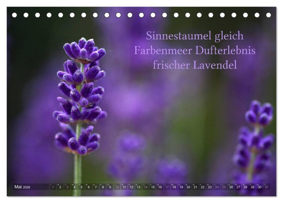 additionalImage10