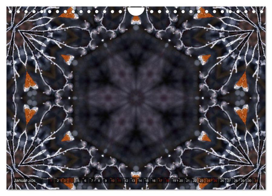 additionalImage6