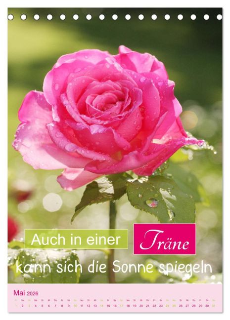 additionalImage10