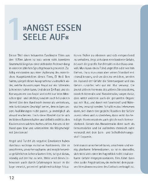 additionalImage2