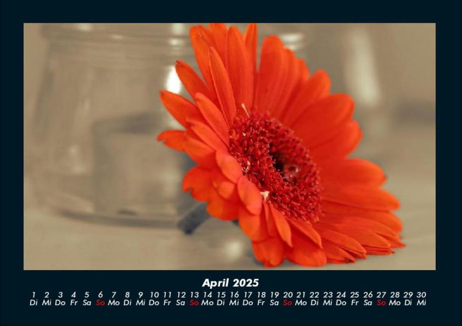additionalImage8