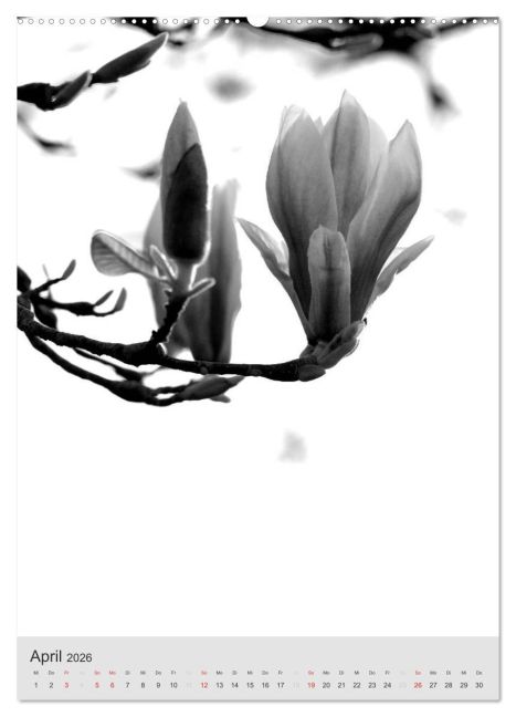 additionalImage8