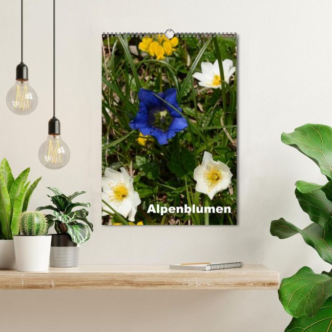 additionalImage1