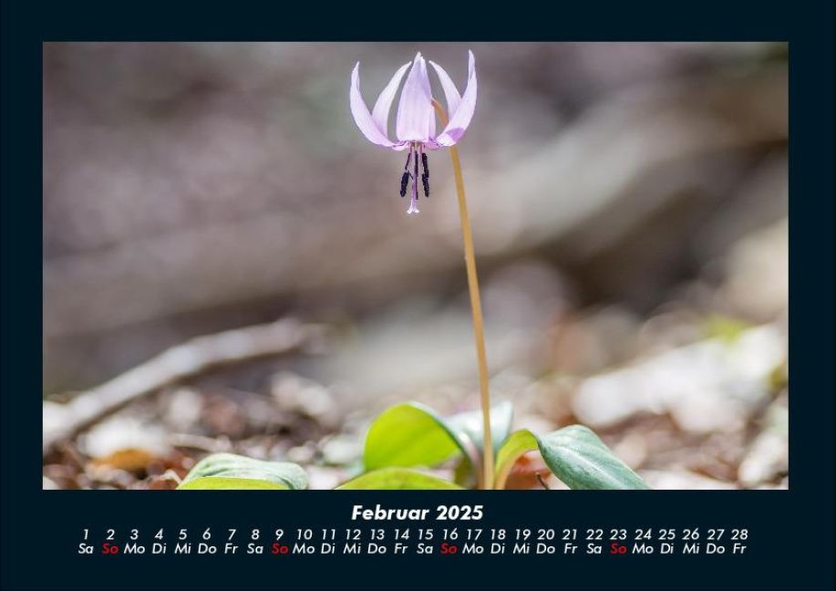 additionalImage6