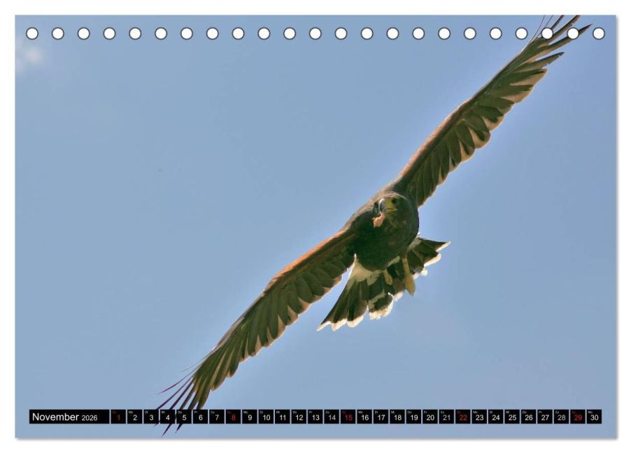 additionalImage3