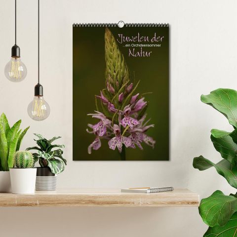 additionalImage1