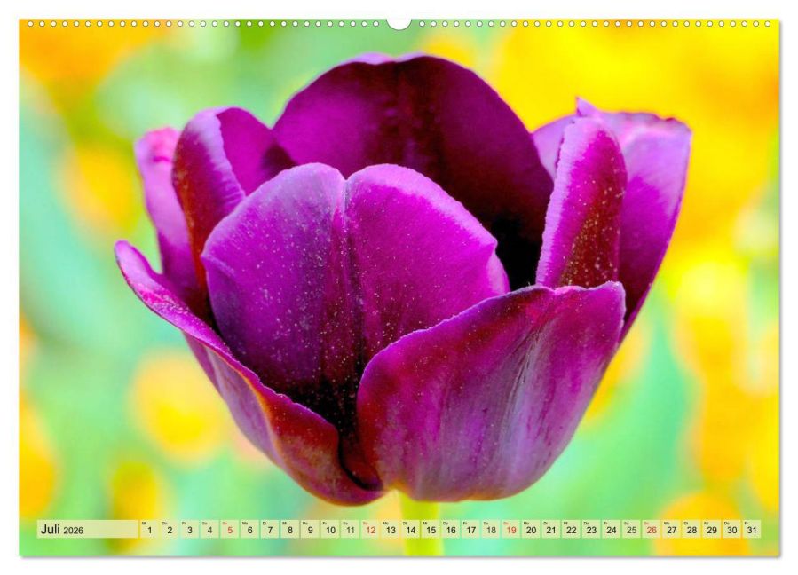 additionalImage11