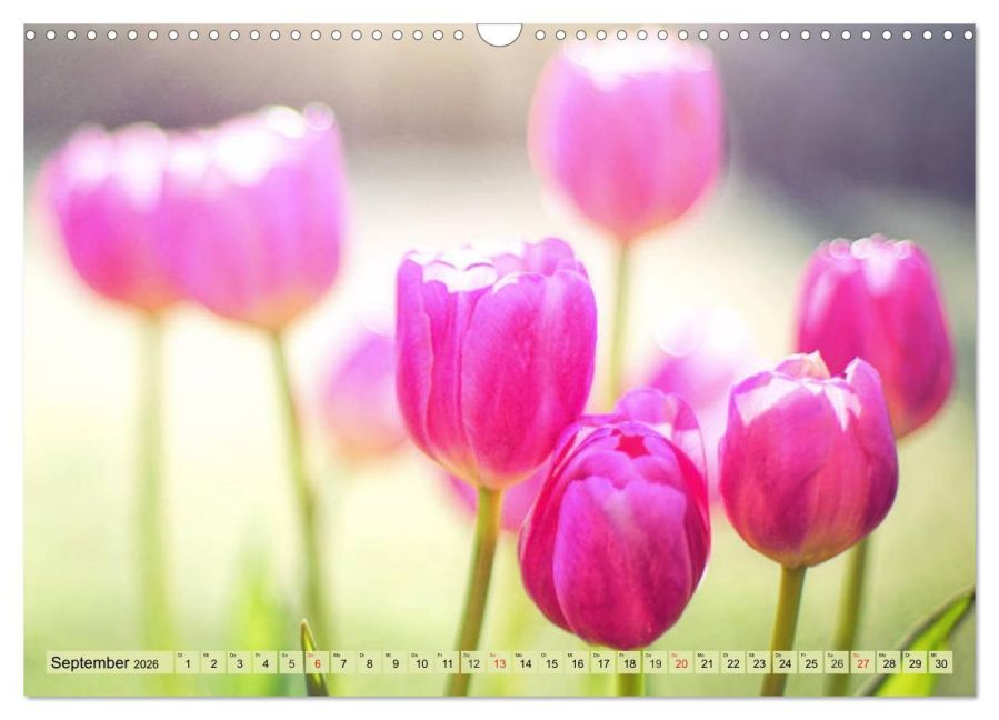 additionalImage14