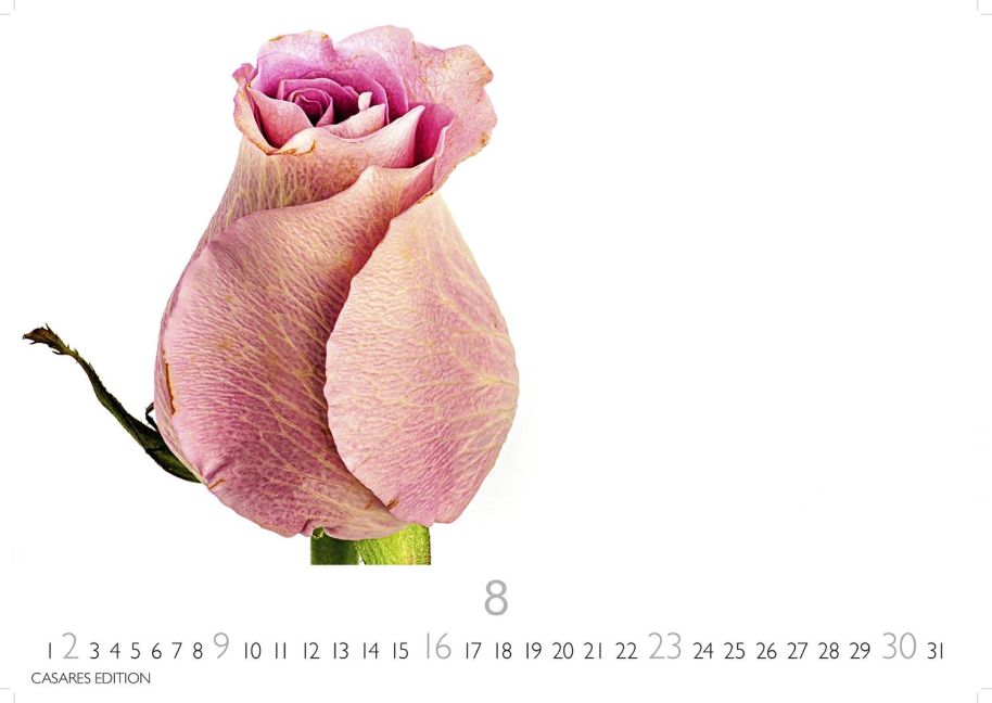 additionalImage8