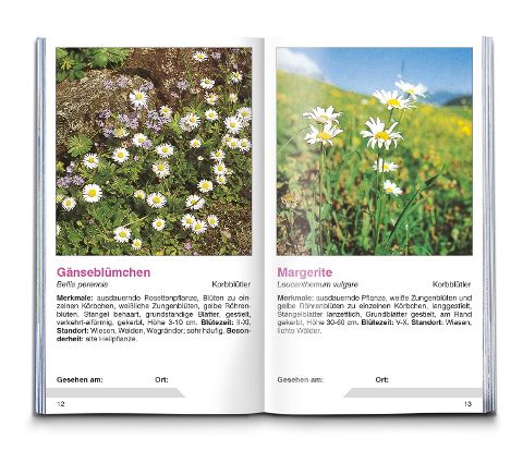 additionalImage6
