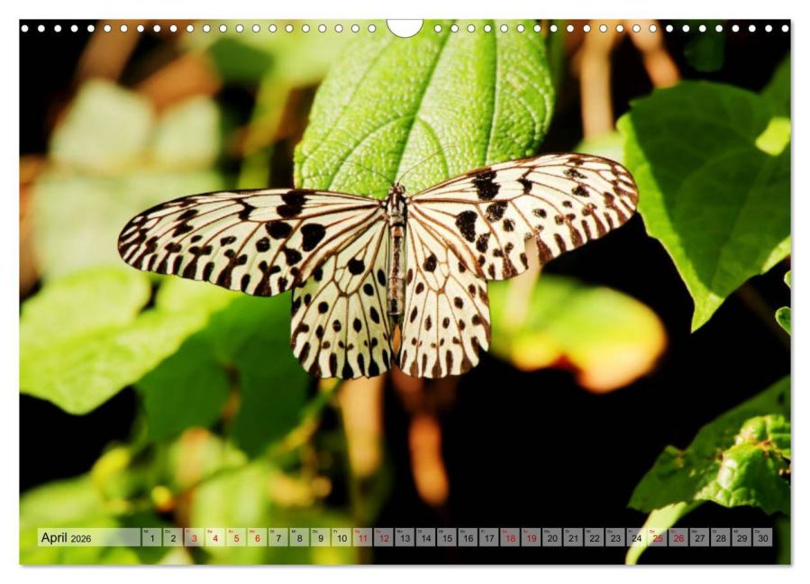 additionalImage9