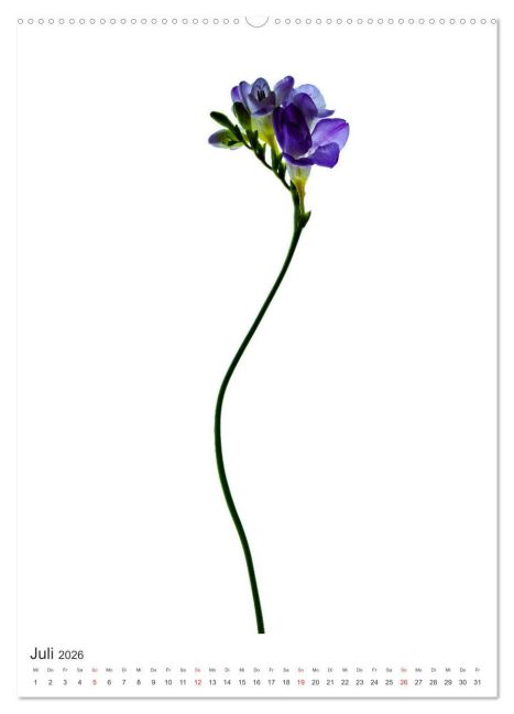 additionalImage12