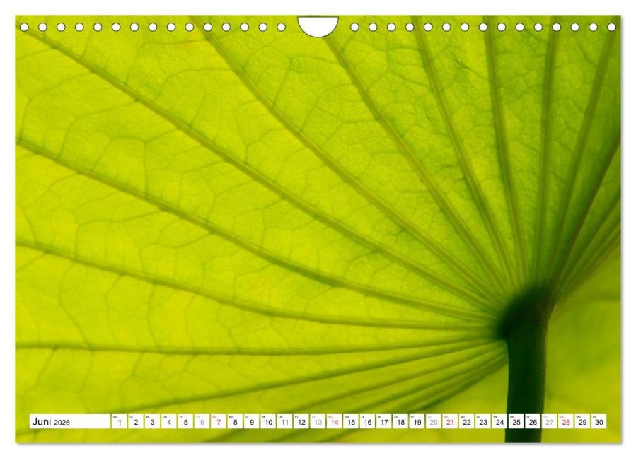 additionalImage11