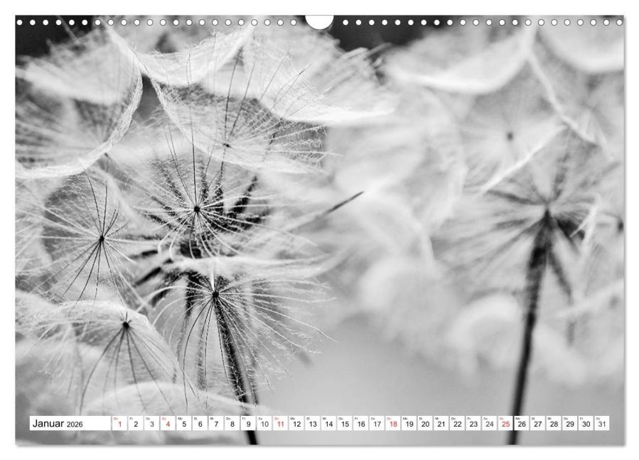 additionalImage6