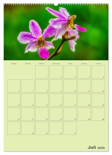 additionalImage12