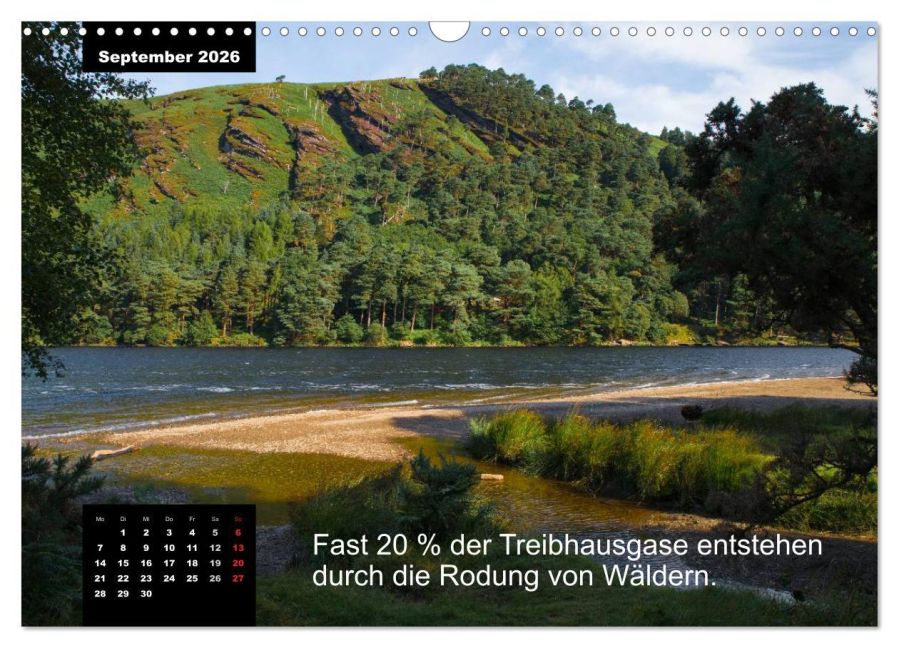 additionalImage14