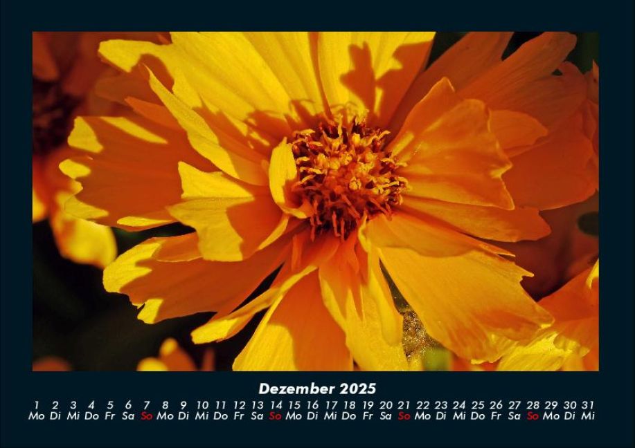 additionalImage4