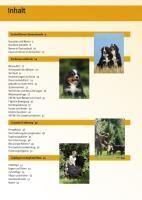 additionalImage1