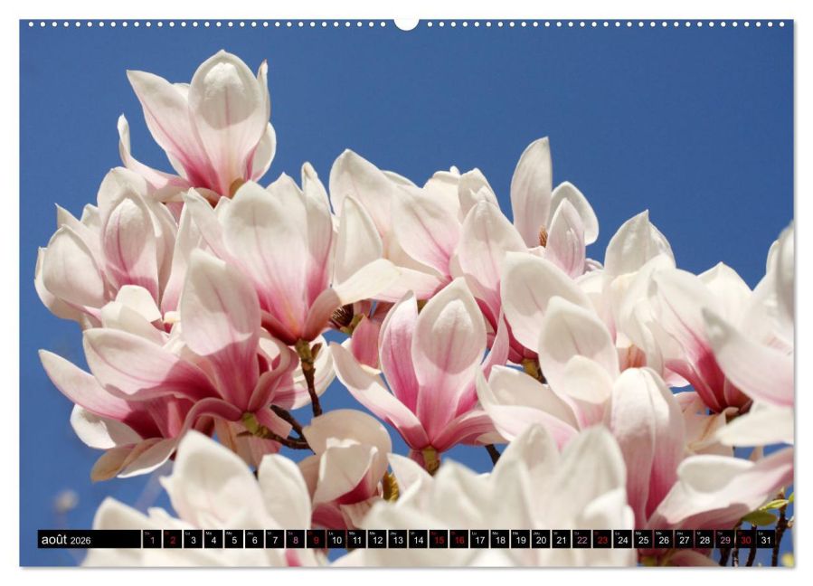 additionalImage12