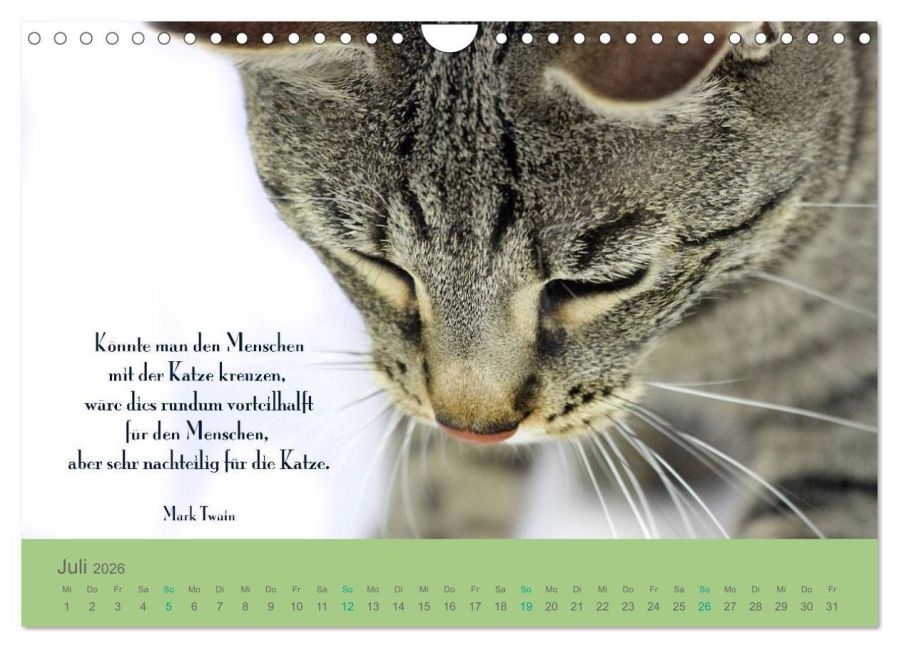 additionalImage12