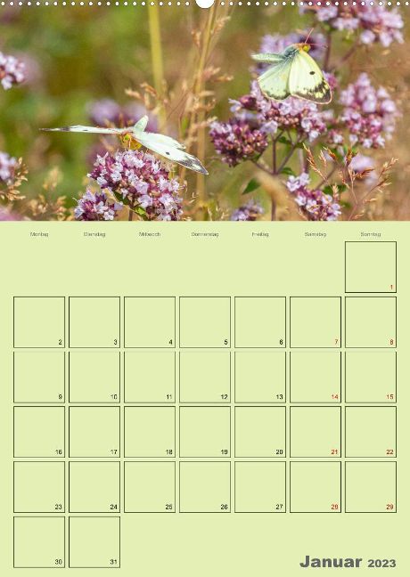 additionalImage1