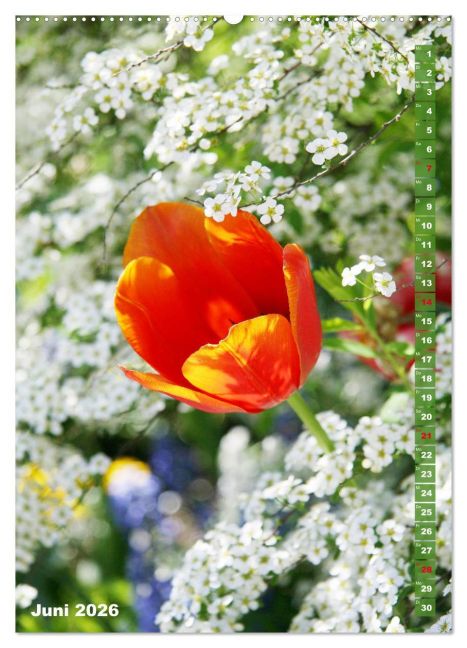 additionalImage10