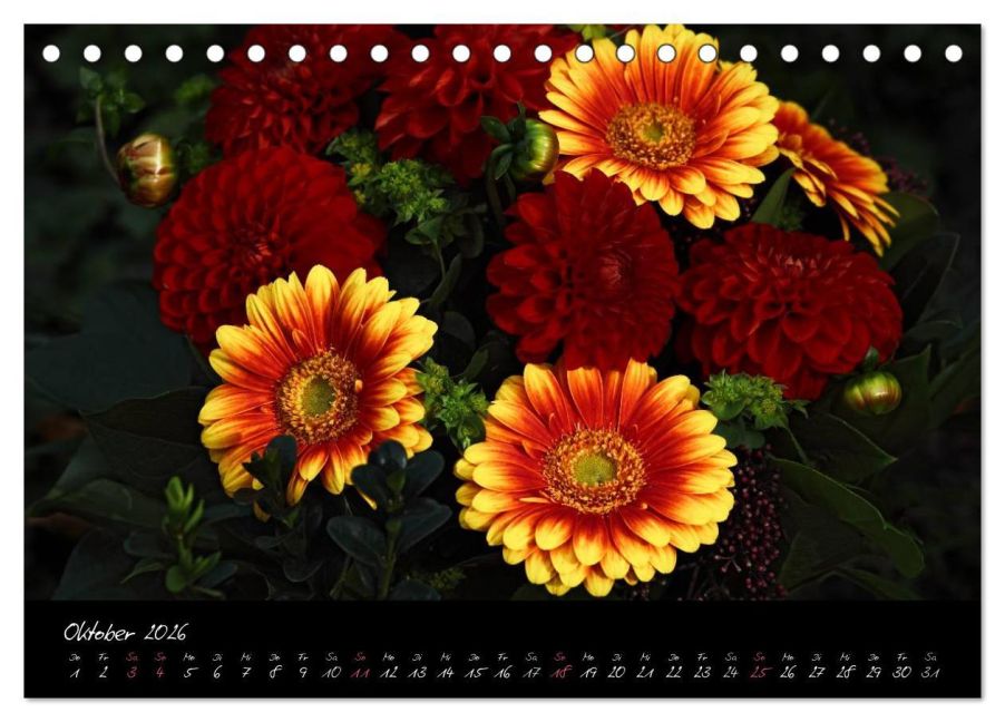additionalImage2