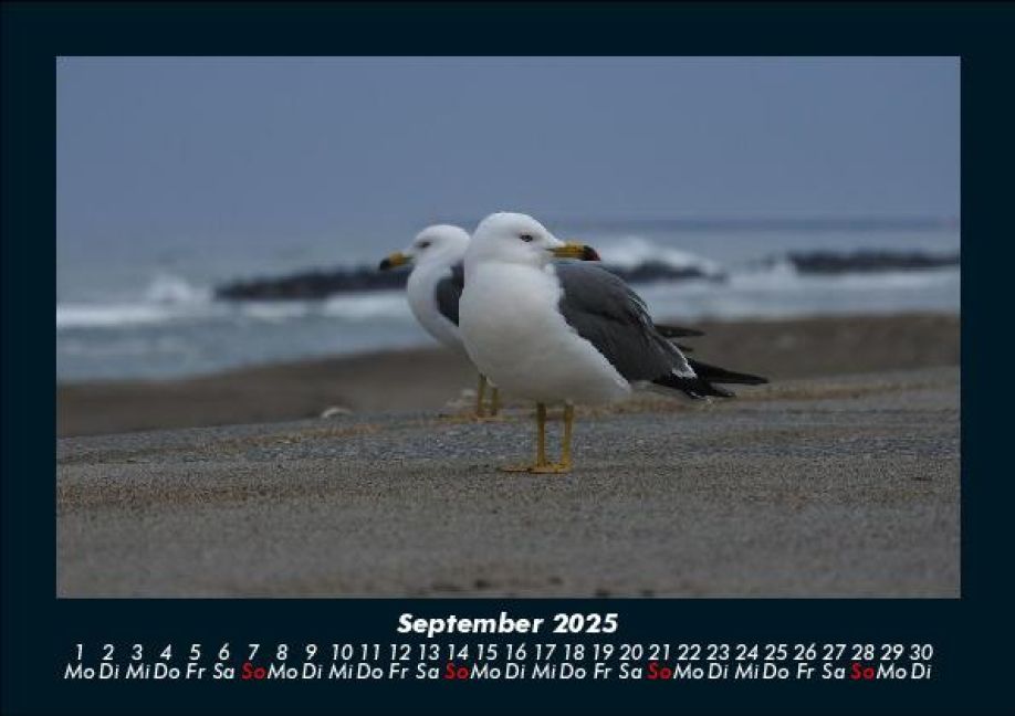 additionalImage1