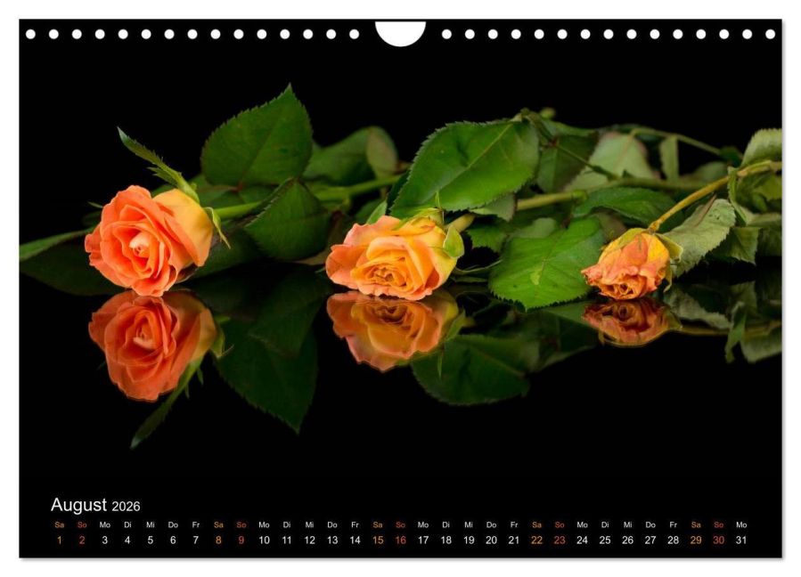additionalImage13