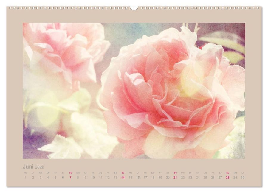 additionalImage10