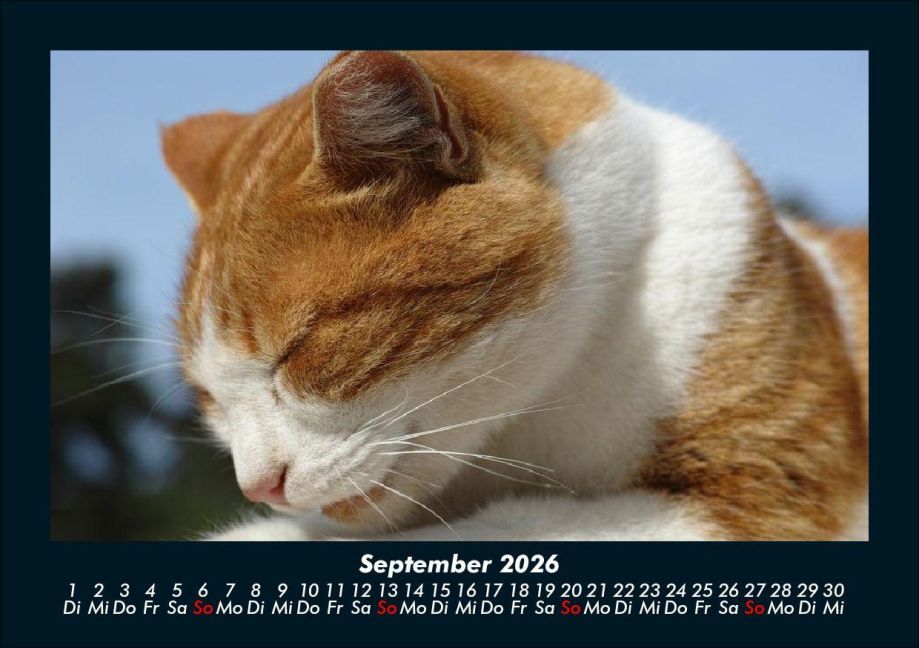 additionalImage1