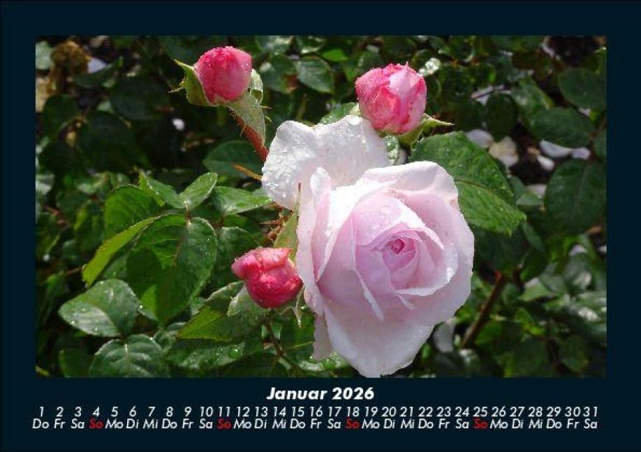 additionalImage5