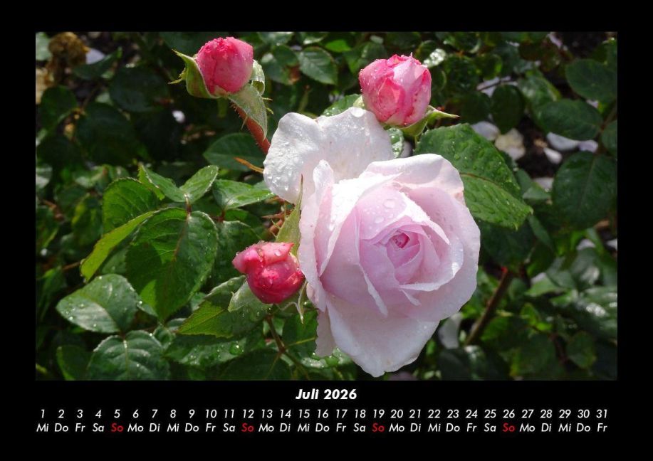 additionalImage11