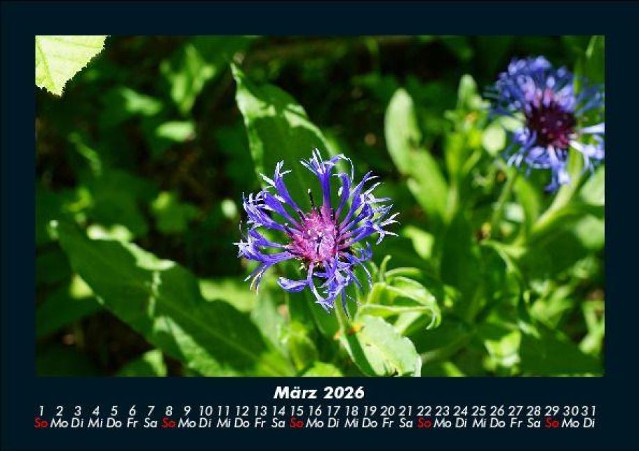 additionalImage7