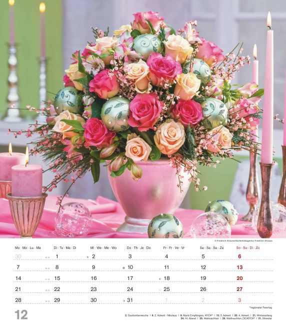 additionalImage12