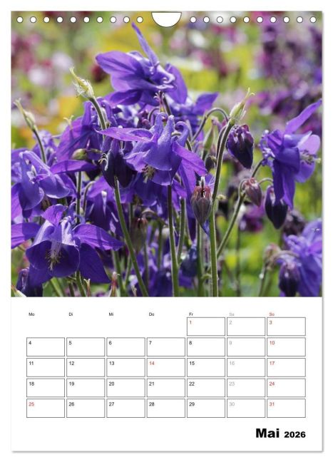 additionalImage10