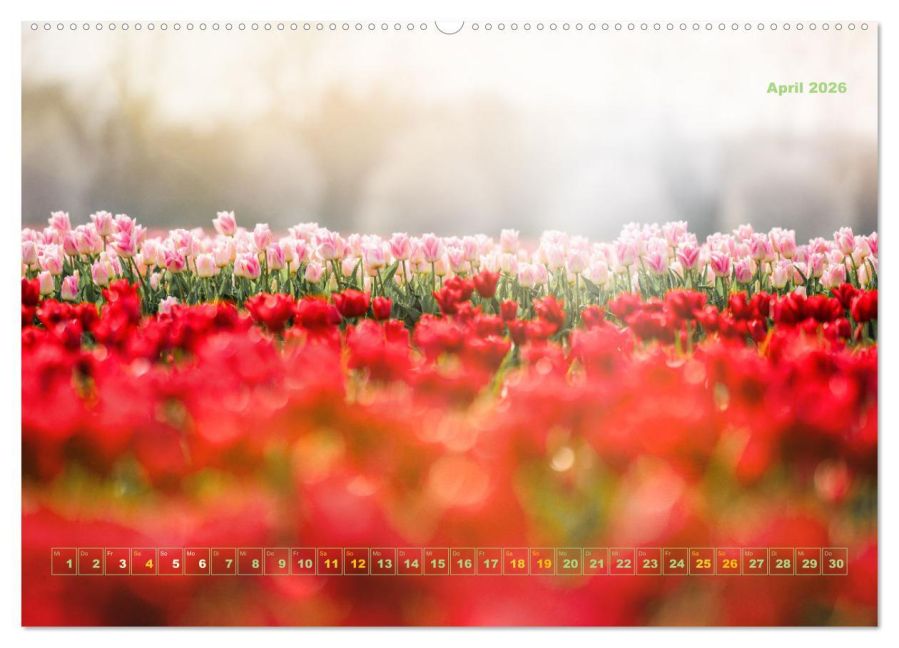 additionalImage9