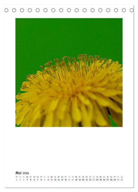 additionalImage10