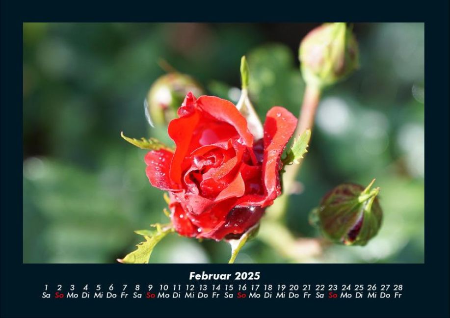 additionalImage6