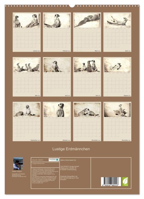 additionalImage4