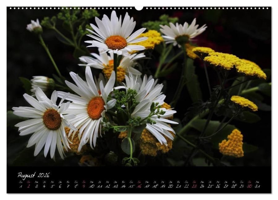 additionalImage12